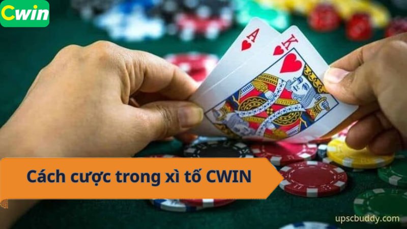 Cách cược trong xì tố CWIN có thể anh em chưa biết