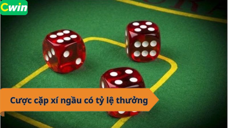 Cược cặp xí ngầu có tỷ lệ thưởng 5:1